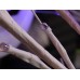 Гірлянда дерево біле 1,5м 100 LED TREE-1-5-WW