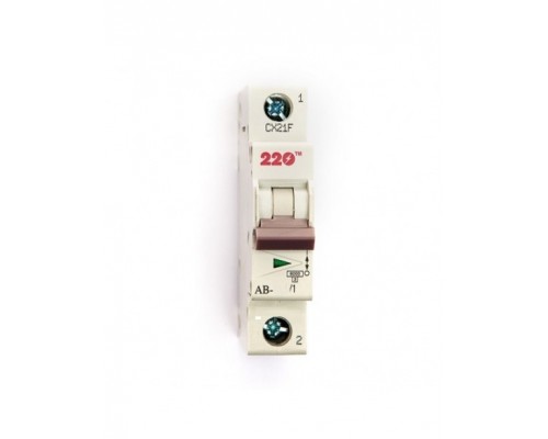 Автоматичний вимикач 220 C-типу 1р 40А 73445