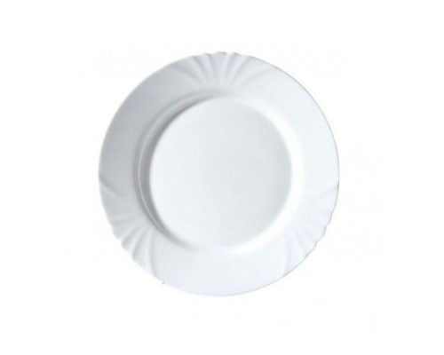 Тарілка обідня 25см ГЛАДКА TU1992-1