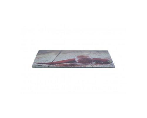Дошка обробна 18*32см TM Paprika STANDART в асортименті