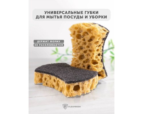 Губка кухонна 5шт Абразивна 2L EkOplus
