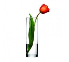 Ваза для квітів Ботаніка 26*8см 43767