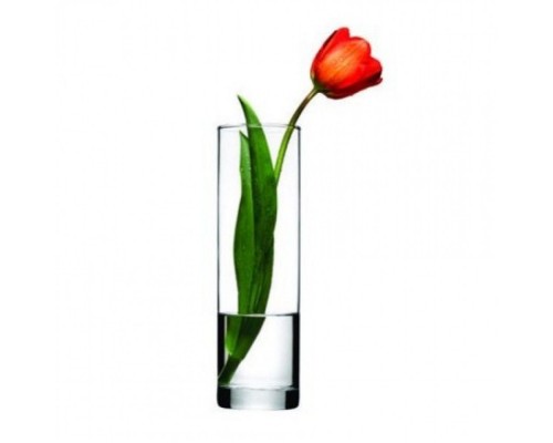 Ваза для квітів Ботаніка 26*8см 43767