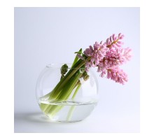 Ваза-акваріум скло Флора 16см Pasabahce 45068