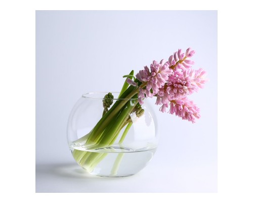 Ваза-акваріум скло Флора 16см Pasabahce 45068