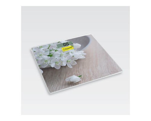 Ваги підлогові скляні Maestro MR-1819