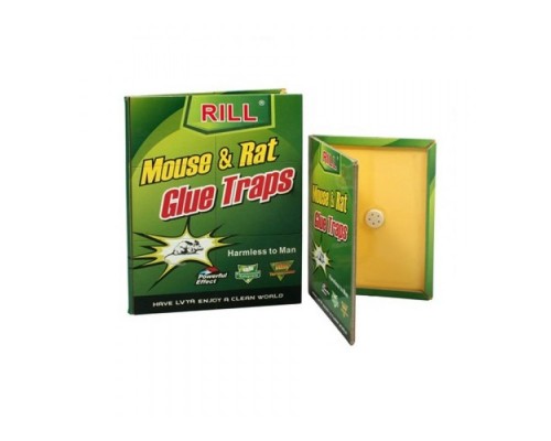 Мишоловка липка зелена Super 16*21см R17400