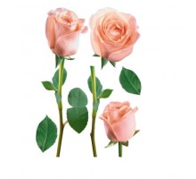 Наклейка декоративна №12 Роза рожева ArtDecor