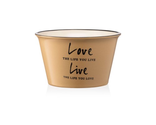 Бульйонниця Adresto Way of life 550мл кераміка AR3479OL