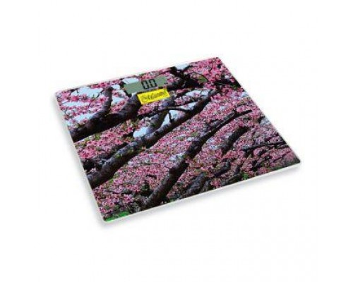 Ваги підлогові Maestro MR-1825