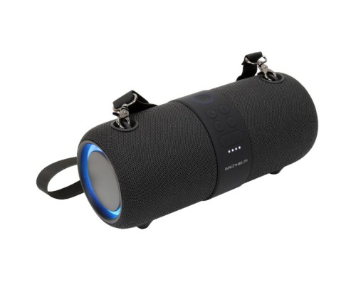 Колонка акустична GRUNHELM GW-321-BL 14W