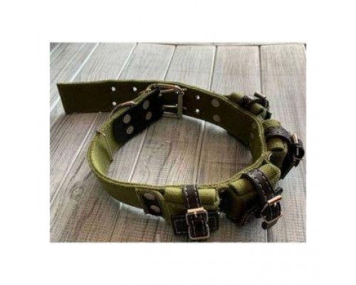 Нашийник Alan брезентовий 45мм*80см подвійний