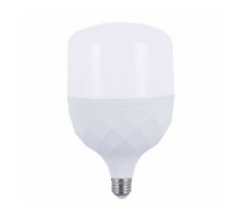 Лампа світлодіодна Led BIOM 40W 6500K T110 E27 HP-40-6 220V