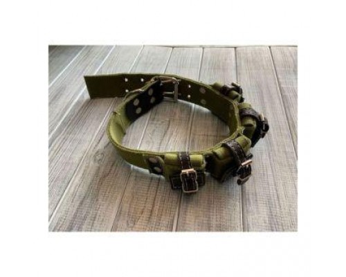 Нашийник брезентовий 50мм подвійний