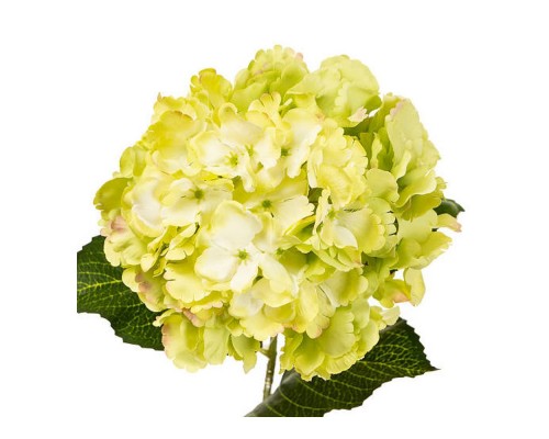 Квіти декоративні Гортензія 45см лимонна 2000-003GN