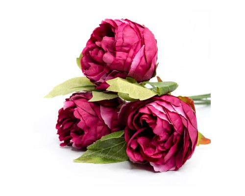 Квіти декоративні Акація 45см салатовий 8139-007