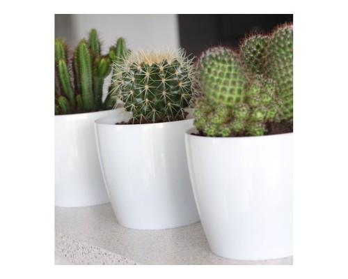 Горщик для квітів 210мм Монголія