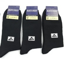 Шкарпетки чоловічі М23В123К 25-27 в асортименті